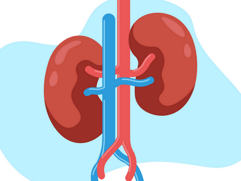 csm_transplantation_fa8c8e410c.png